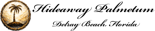 Hideaway Palmetum